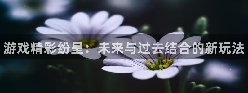 辉达娱乐登录地址：游戏精彩纷呈：未来与过去结合的新玩法