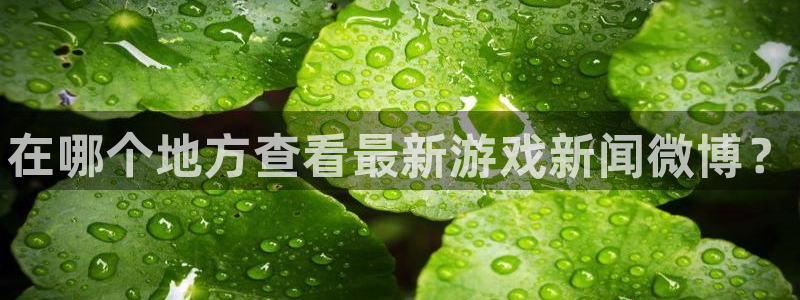 手机辉达娱乐下载安装：在哪个地方查看最新游戏新闻微博？