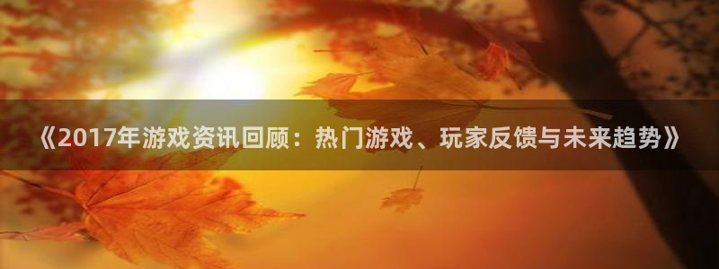 辉达娱乐平台注册资金多少：《2017年游戏资讯回顾：热门游戏
