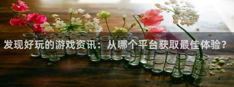 辉达娱乐2登录：发现好玩的游戏资讯：从哪个平台获取最佳体验？