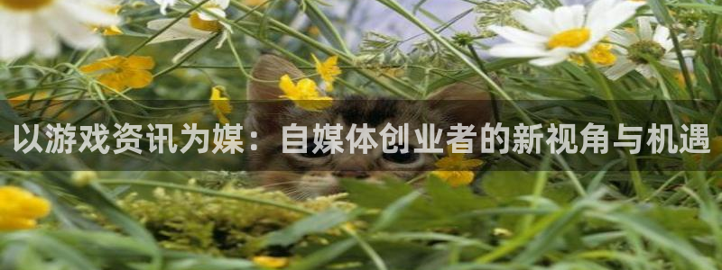 辉达娱乐注册网站