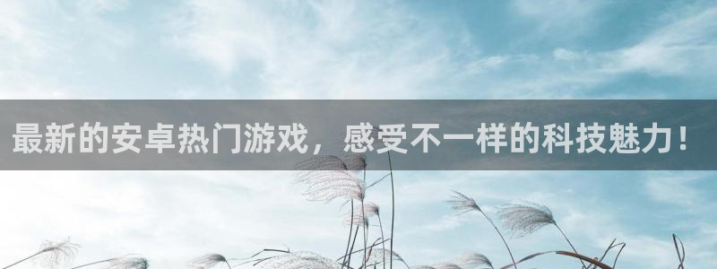 辉达娱乐在线登录：最新的安卓热门游戏，感受不一样的科技魅力！