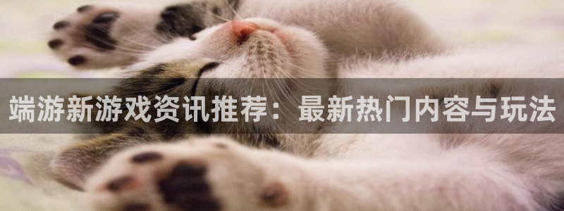 辉达娱乐退款流程详解：端游新游戏资讯推荐：最新热门内容与玩法