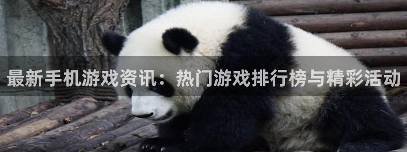 辉达娱乐是否被国家禁止的原因：最新手机游戏资讯：热门游戏排行