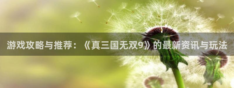 辉达娱乐注册网站：游戏攻略与推荐：《真三国无双9》的最新资讯