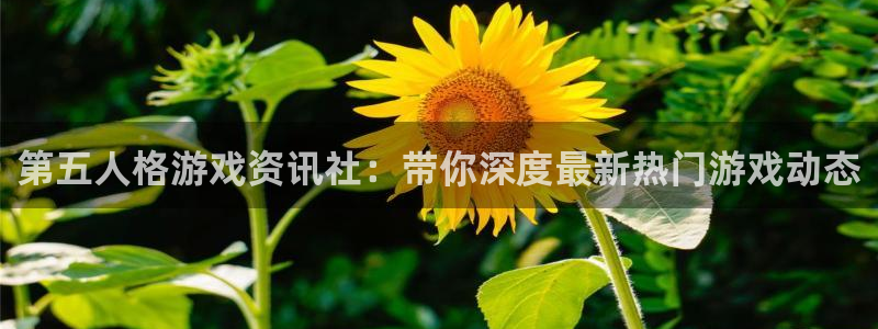 辉达娱乐平台负责人：第五人格游戏资讯社：带你深度最新热门游戏