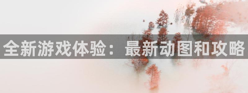 辉达娱乐是什么：全新游戏体验：最新动图和攻略